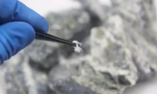 Scopri di più sull'articolo Eliminazione amianto: Perché si rimuove sempre questo materiale?