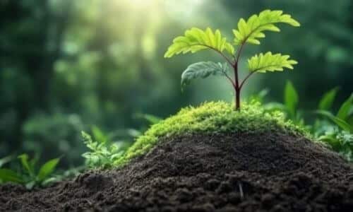 La bonifica ambientale consiste nel rimuovere o ridurre fonti di inquinamento presenti nel suolo