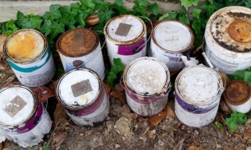 Smaltimento Secchi Pittura